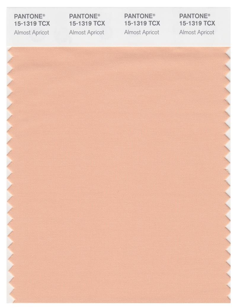 Pantone Smart 15-1319 TCX Color Swatch Card | Almost Apricot 