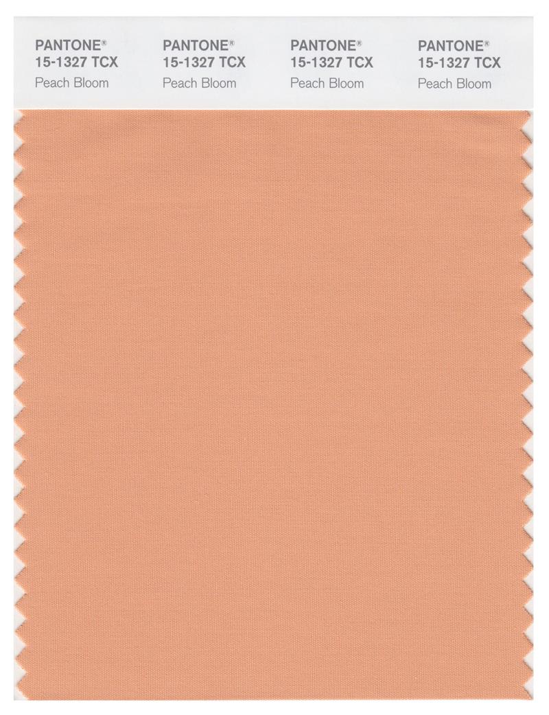 Pantone Smart 15-1327 TCX Color Swatch Card | Peach Bloom 