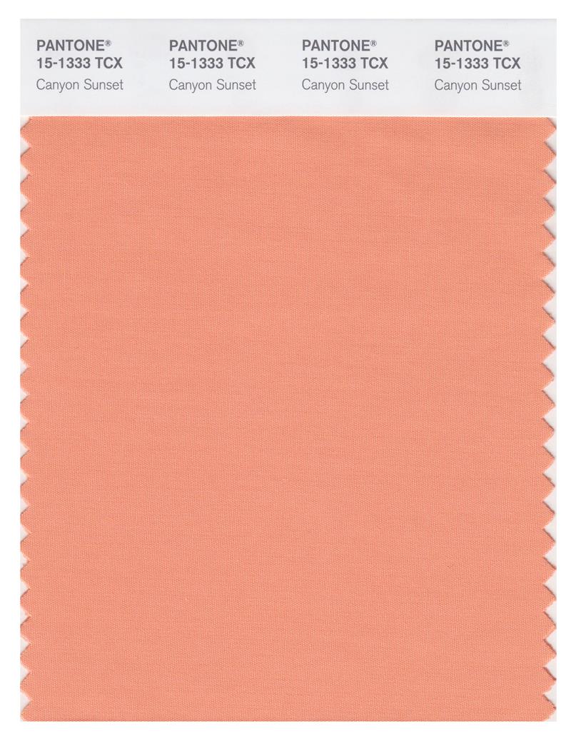 Pantone Smart 15-1333 TCX Color Swatch Card | Canyon Sunset 