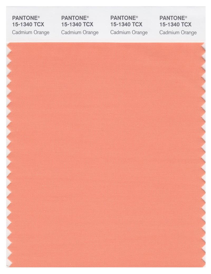 Pantone Smart 15-1340 TCX Color Swatch Card | Cadmium Orange 