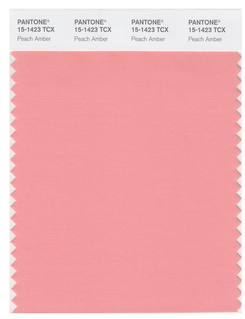 Pantone Smart 15-1423 TCX Color Swatch Card | Peach Amber 