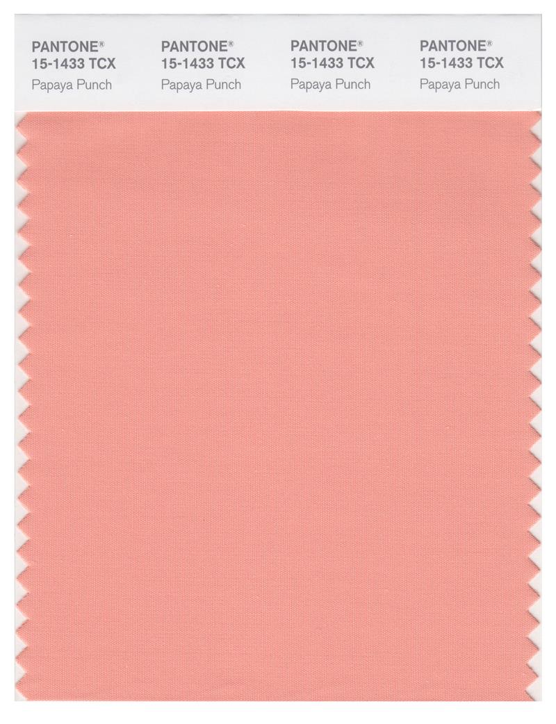 Pantone Smart 15-1433 TCX Color Swatch Card | Papaya Punch 