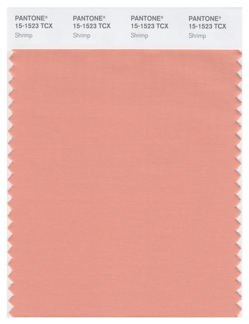 Pantone Smart 15-1523 TCX Color Swatch Card | Shrimp 