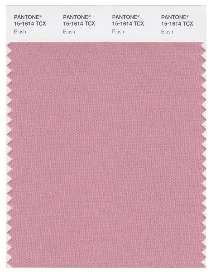 Pantone Smart 15-1614 TCX Color Swatch Card | Blush 