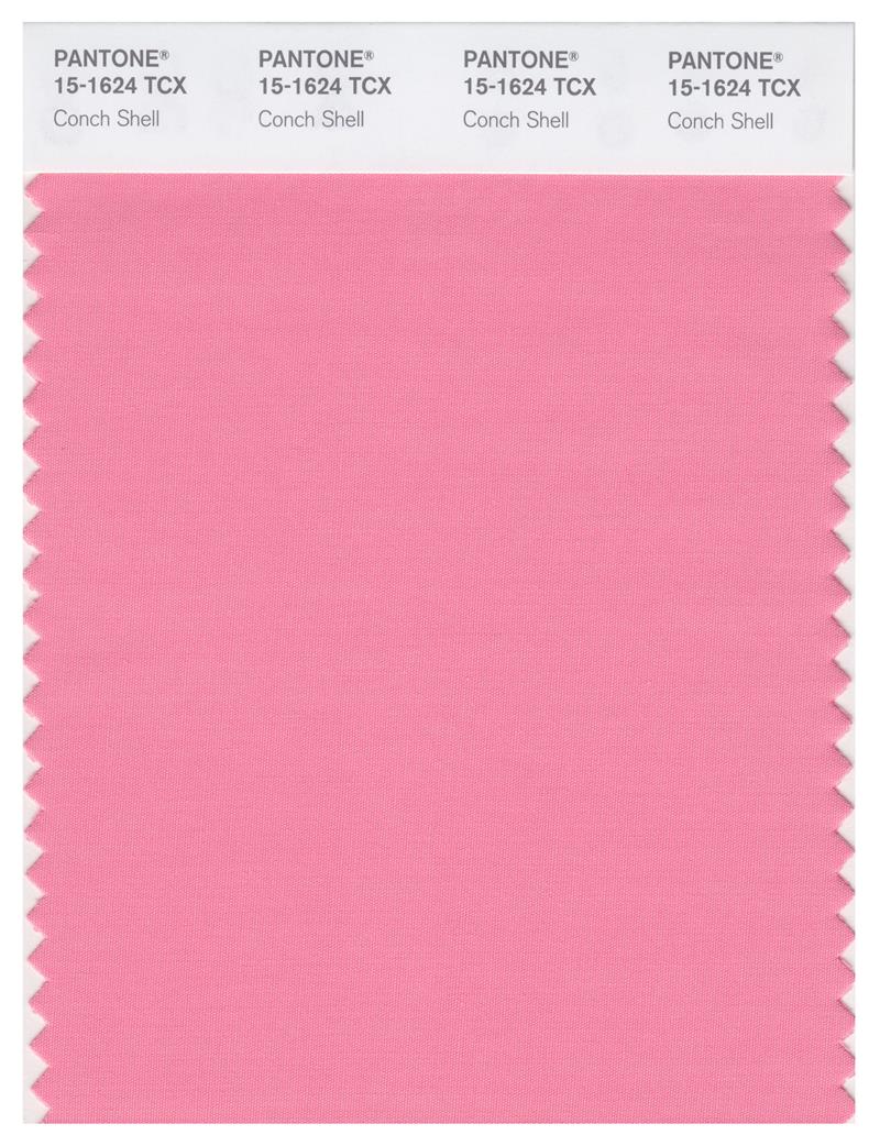 Pantone Smart 15-1624 TCX Color Swatch Card | Conch Shell 