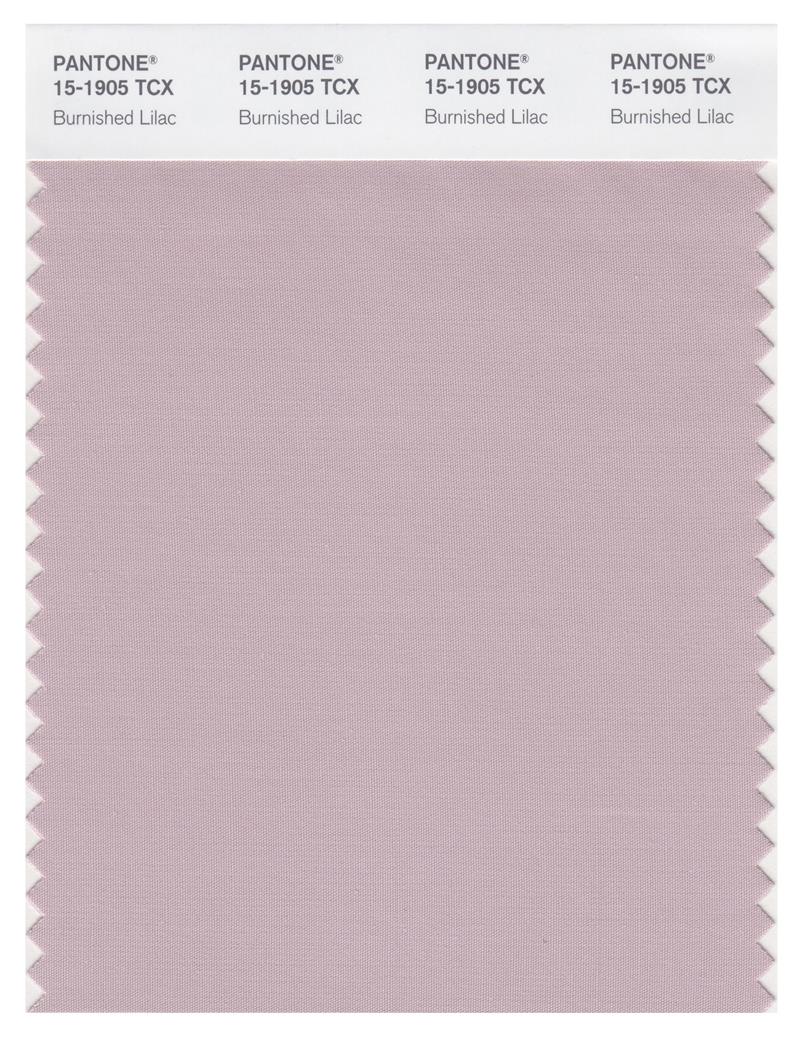 Pantone Smart 15-1905 TCX Color Swatch Card | Burnished Lilac 