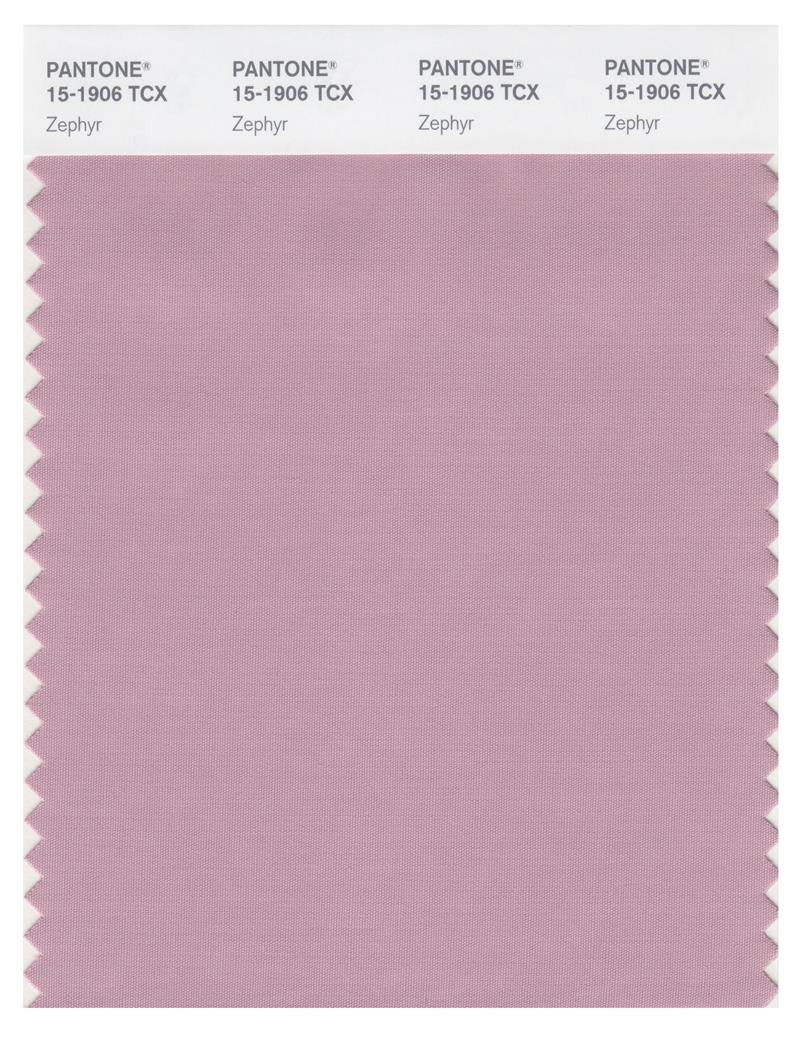 Pantone Smart 15-1906 TCX Color Swatch Card | Zephyr 