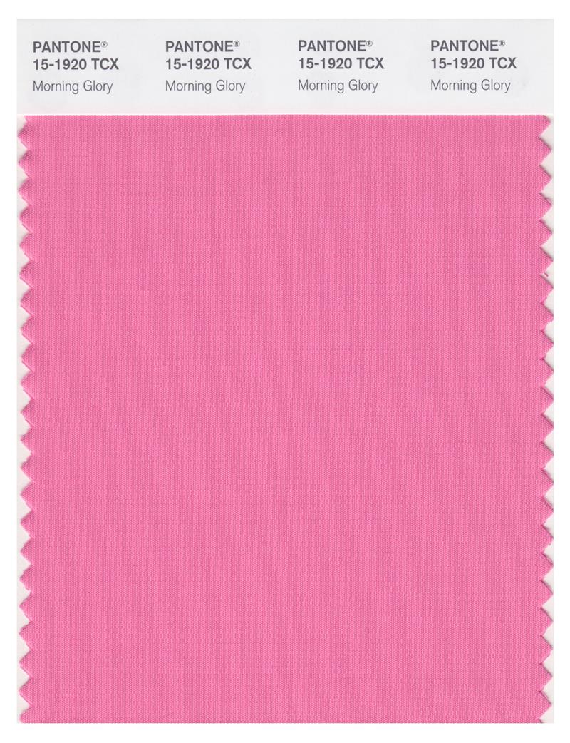 Pantone Smart 15-1920 TCX Color Swatch Card | Morning Glory 