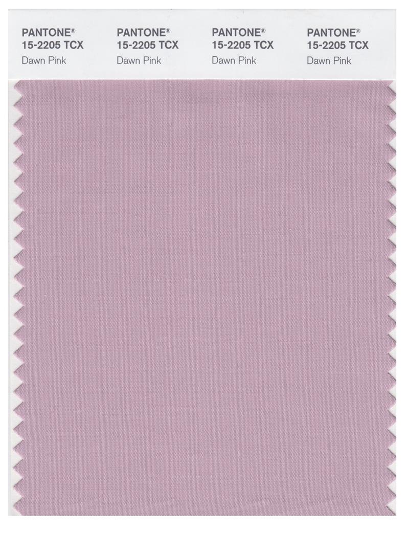 Pantone Smart 15-2205 TCX Color Swatch Card | Dawn Pink 