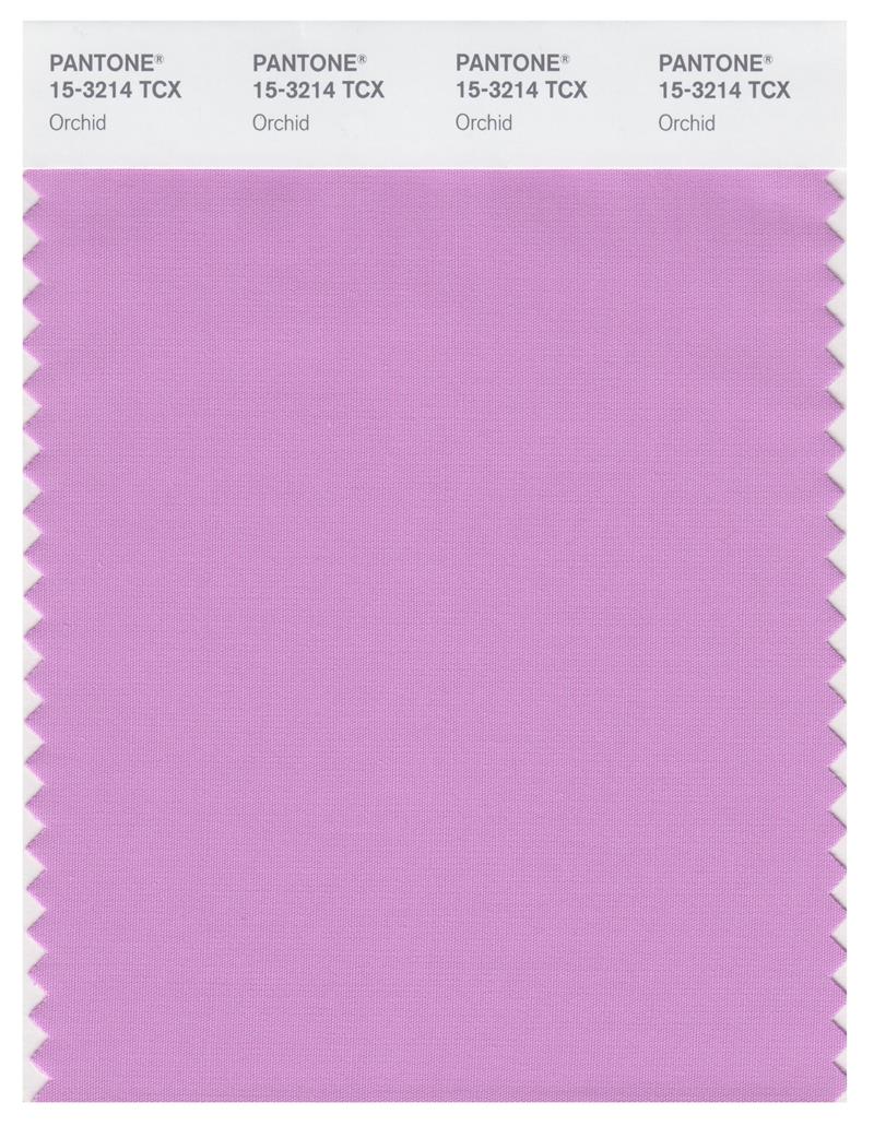 Pantone Smart 15-3214 TCX Color Swatch Card | Orchid 