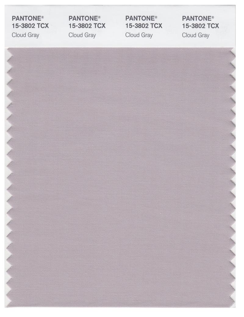 Pantone Smart 15-3802 TCX Color Swatch Card | Cloud Gray 