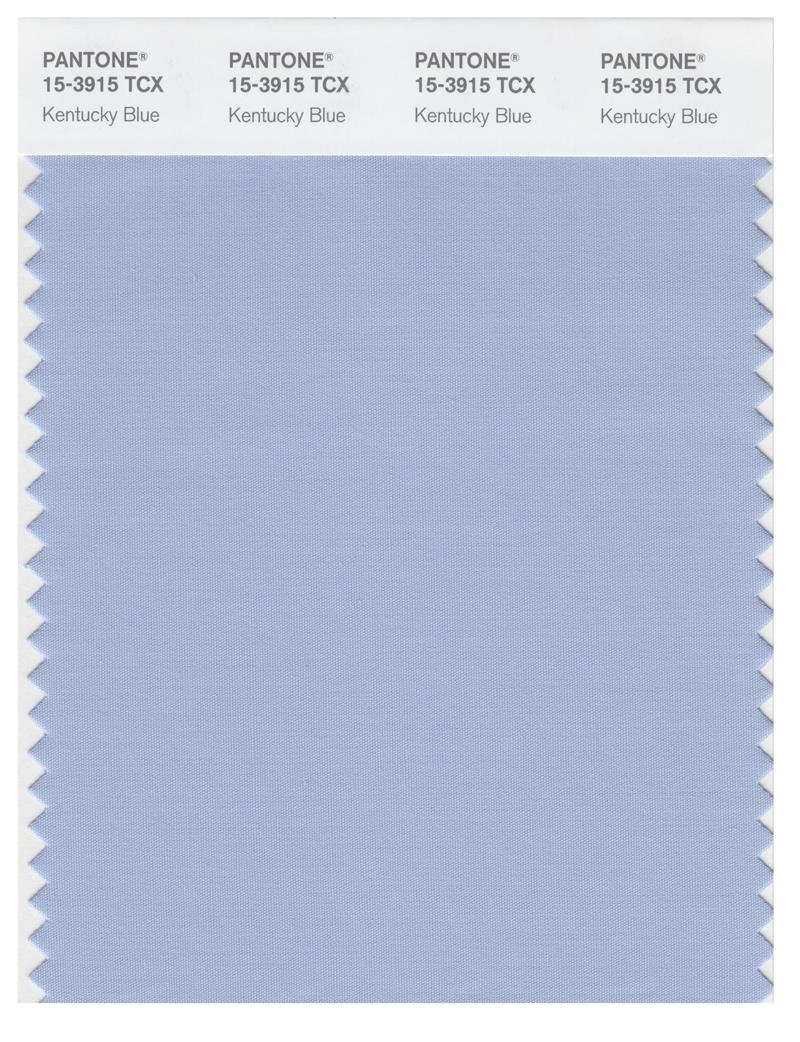 Pantone Smart 15-3915 TCX Color Swatch Card | Kentucky Blue 