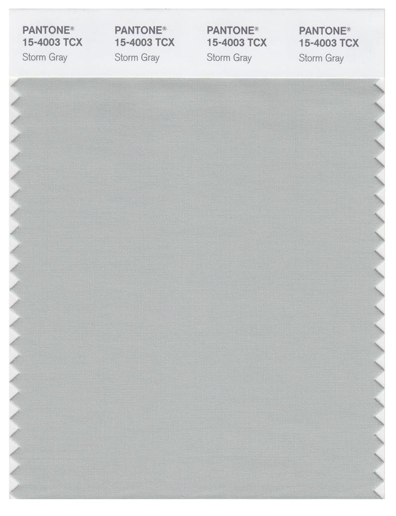 Pantone Smart 15-4003 TCX Color Swatch Card | Storm Gray 