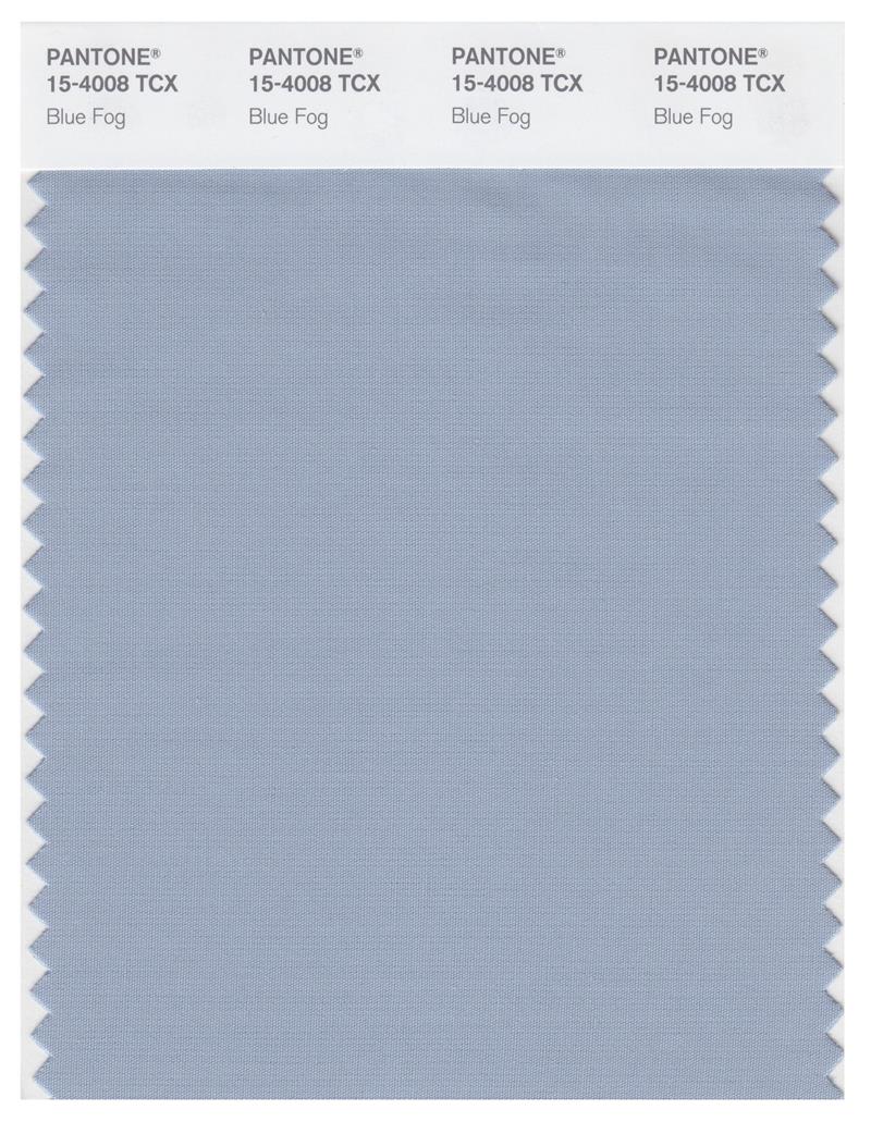 Pantone Smart 15-4008 TCX Color Swatch Card | Blue Fog 