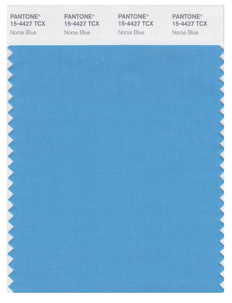 Pantone Smart 15-4427 TCX Color Swatch Card | Norse Blue 