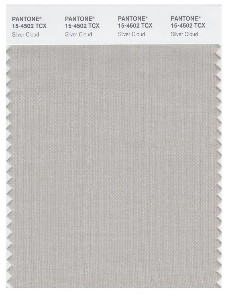 Pantone Smart 15-4502 TCX Color Swatch Card | Silver Cloud 