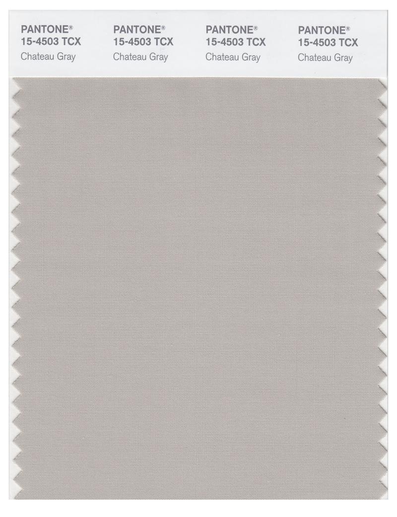 Pantone Smart 15-4503 TCX Color Swatch Card | Chateau Gray 