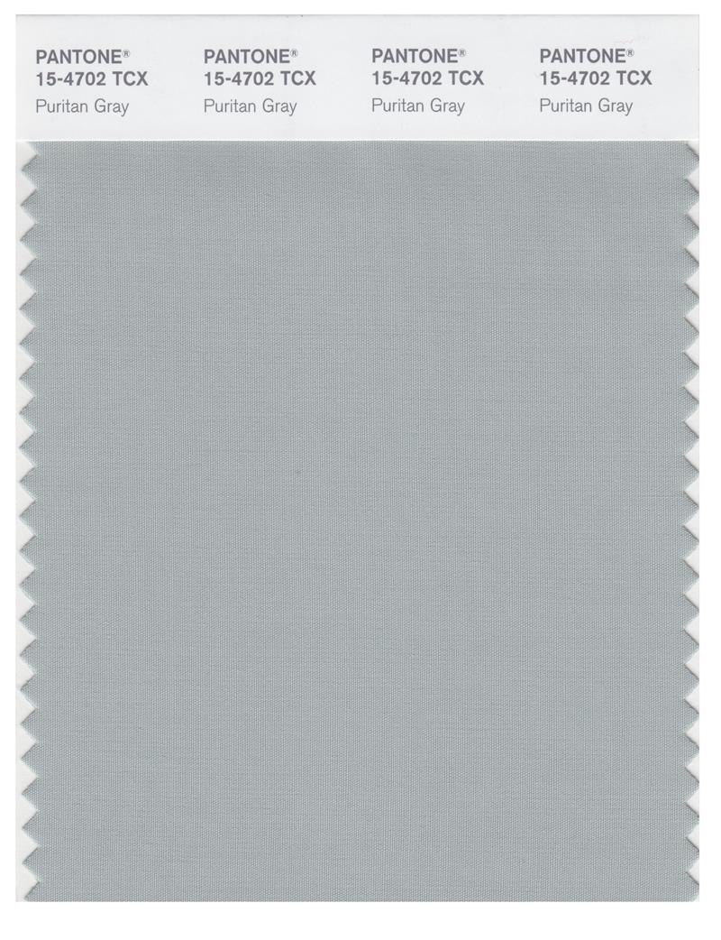 Pantone Smart 15-4702 TCX Color Swatch Card | Puritan Gray 