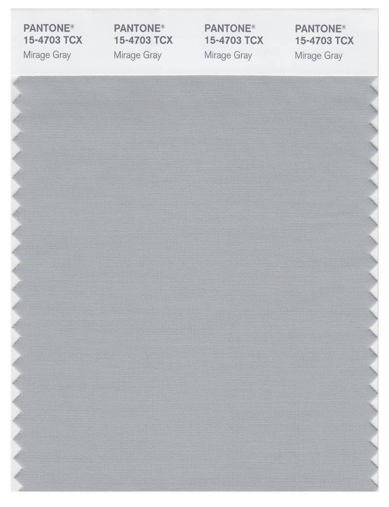 Pantone Smart 15-4703 TCX Color Swatch Card | Mirage Gray 