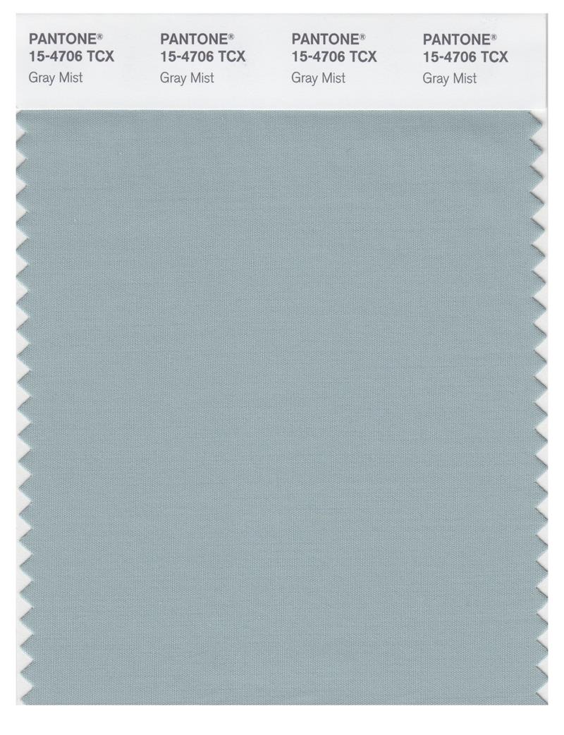 Pantone Smart 15-4706 TCX Color Swatch Card | Gray Mist 