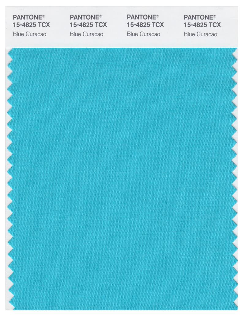 Pantone Smart 15-4825 TCX Color Swatch Card | Blue Curacao 