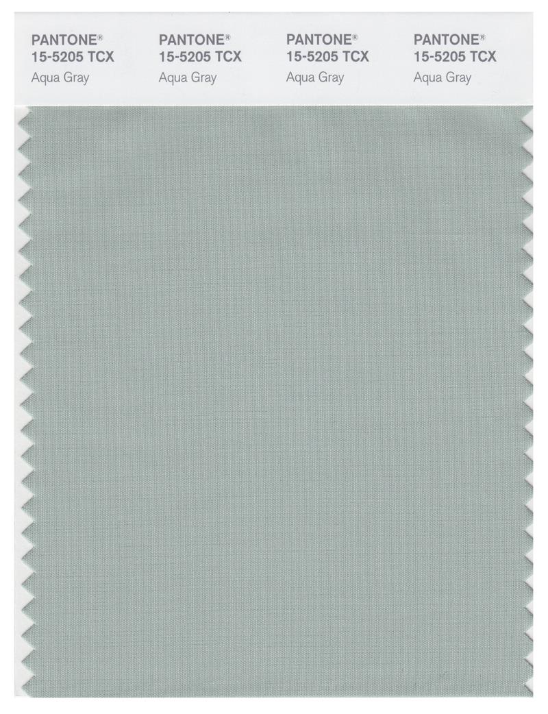 Pantone Smart 15-5205 TCX Color Swatch Card | Aqua Gray 