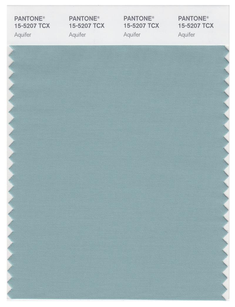 Pantone Smart 15-5207 TCX Color Swatch Card | Aquifer 