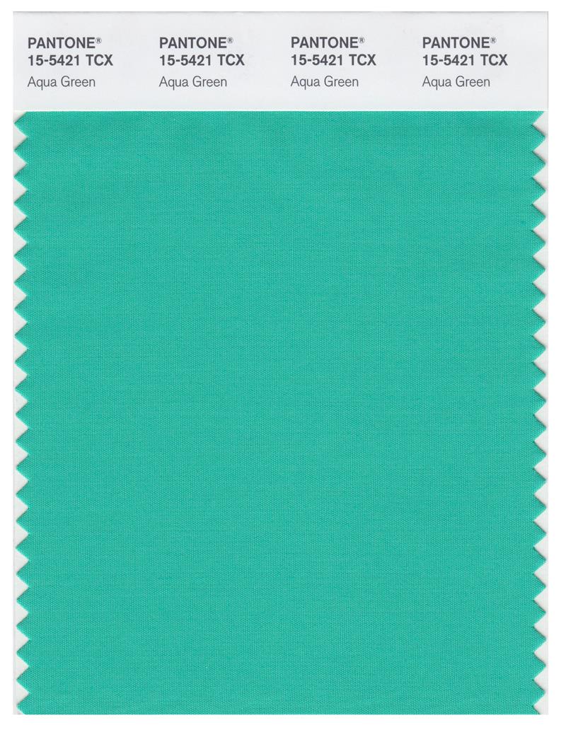 Pantone Smart 15-5421 TCX Color Swatch Card | Aqua Green 