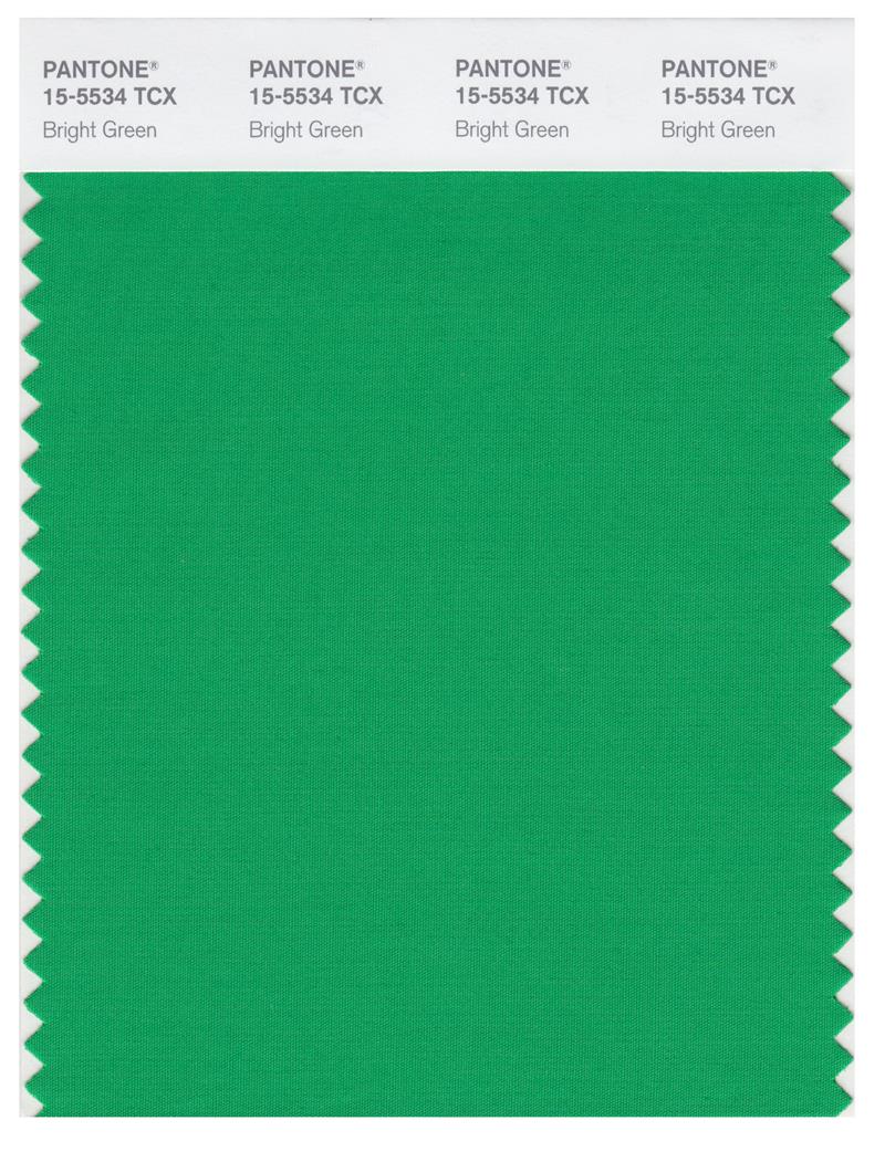 Pantone Smart 15-5534 TCX Color Swatch Card | Bright Green 