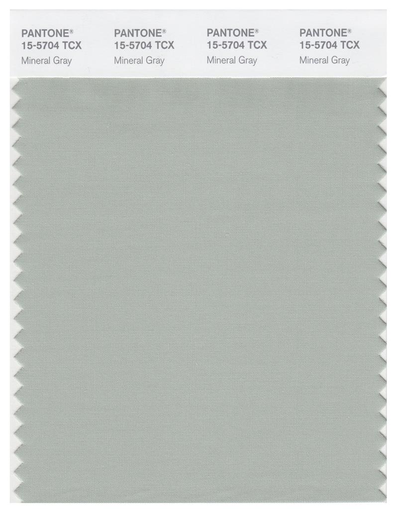 Pantone Smart 15-5704 TCX Color Swatch Card | Mineral Gray 