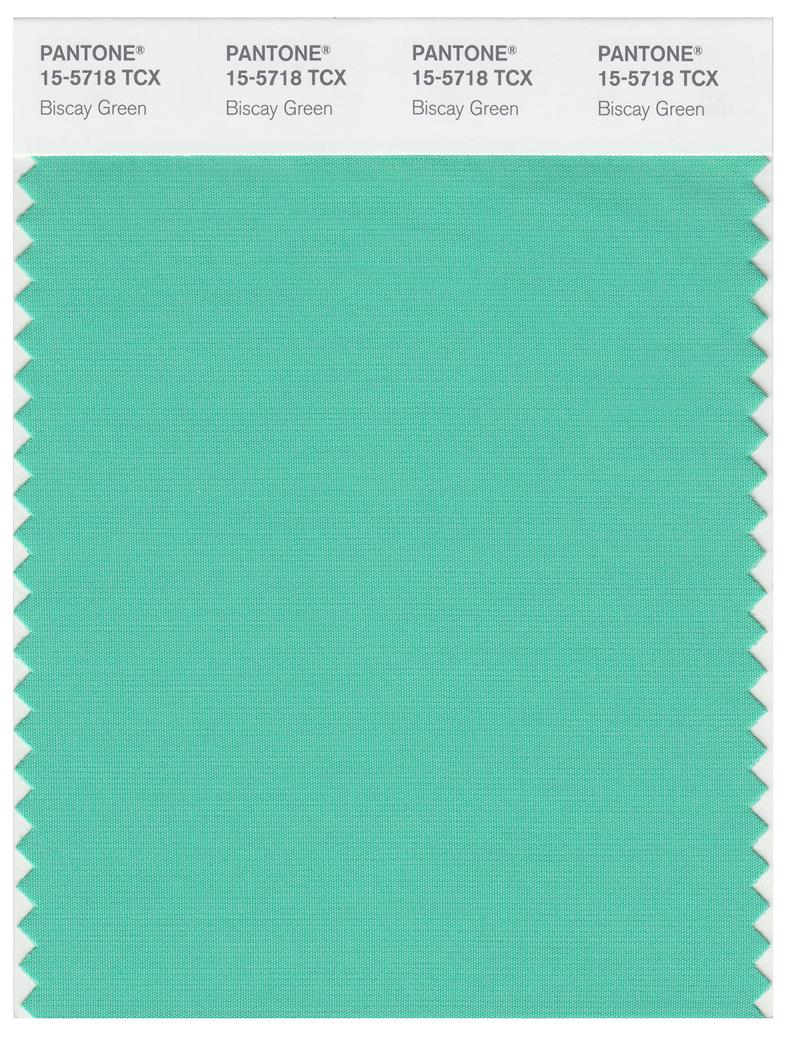 Pantone Smart 15-5718 TCX Color Swatch Card | Biscay Green 