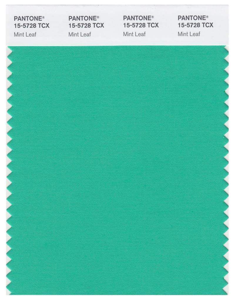 Pantone Smart 15-5728 TCX Color Swatch Card | Mint Leaf 