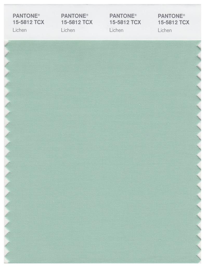 Pantone Smart 15-5812 TCX Color Swatch Card | Lichen 