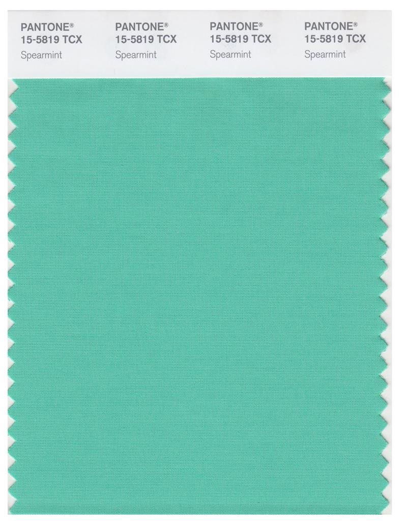 Pantone Smart 15-5819 TCX Color Swatch Card | Spearmint 