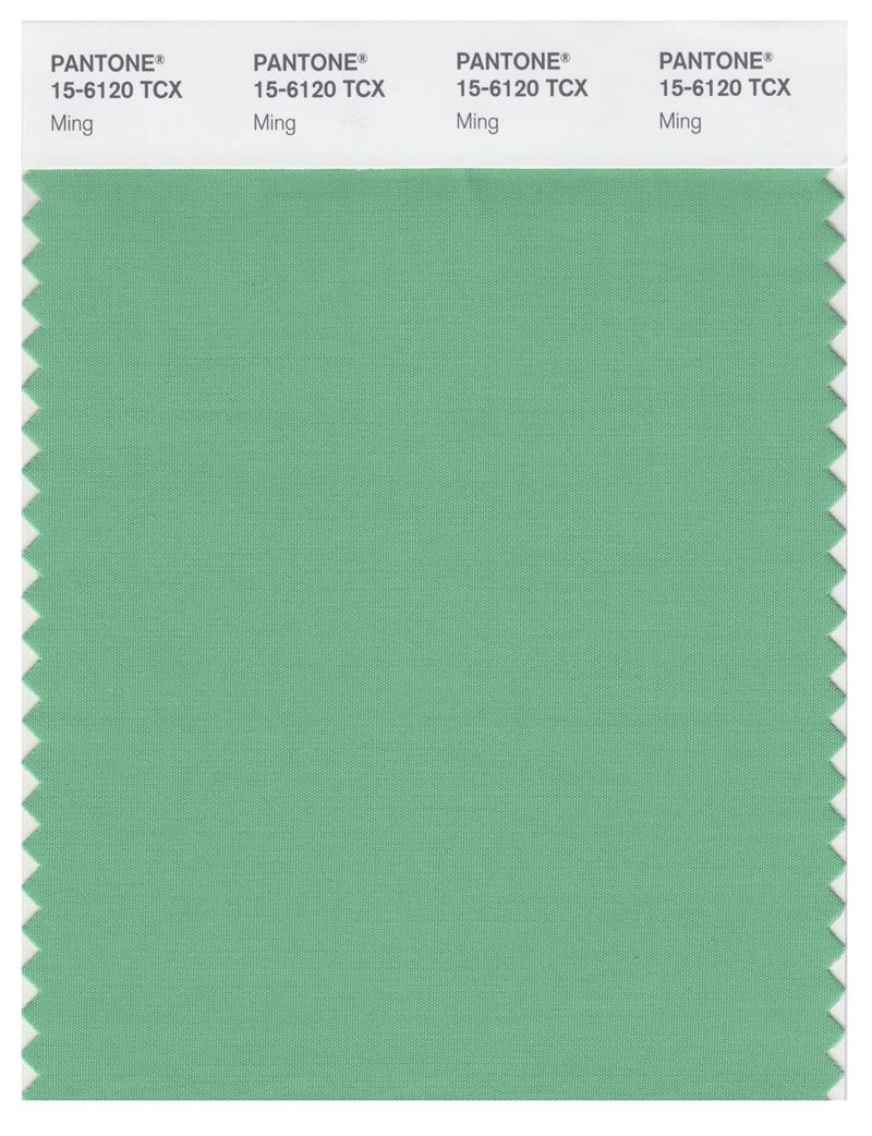 Pantone Smart 15-6120 TCX Color Swatch Card | Ming 