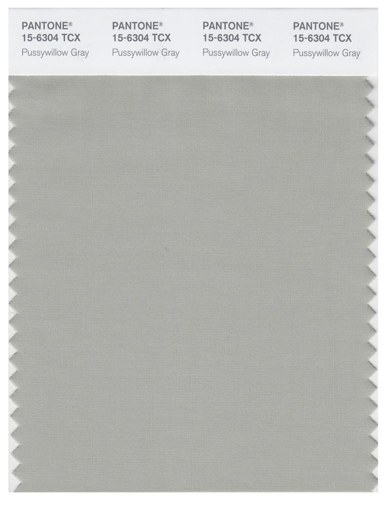 Pantone Smart 15-6304 TCX Color Swatch Card | Pussywillow Gray 