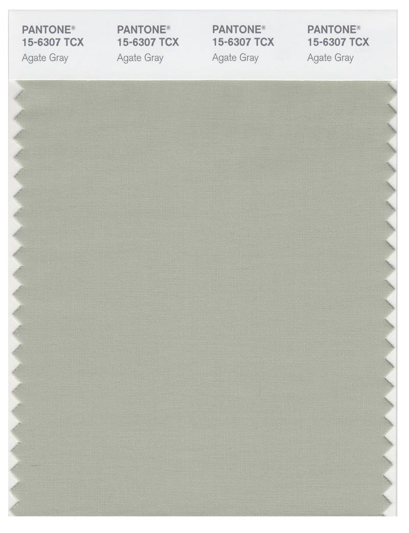 Pantone Smart 15-6307 TCX Color Swatch Card | Agate Gray 