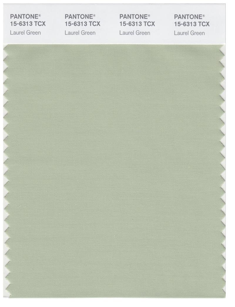 Pantone Smart 15-6313 TCX Color Swatch Card | Laurel Green 