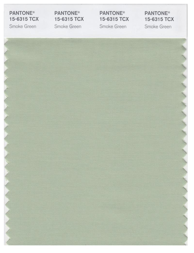 Pantone Smart 15-6315 TCX Color Swatch Card | Smoke Green 