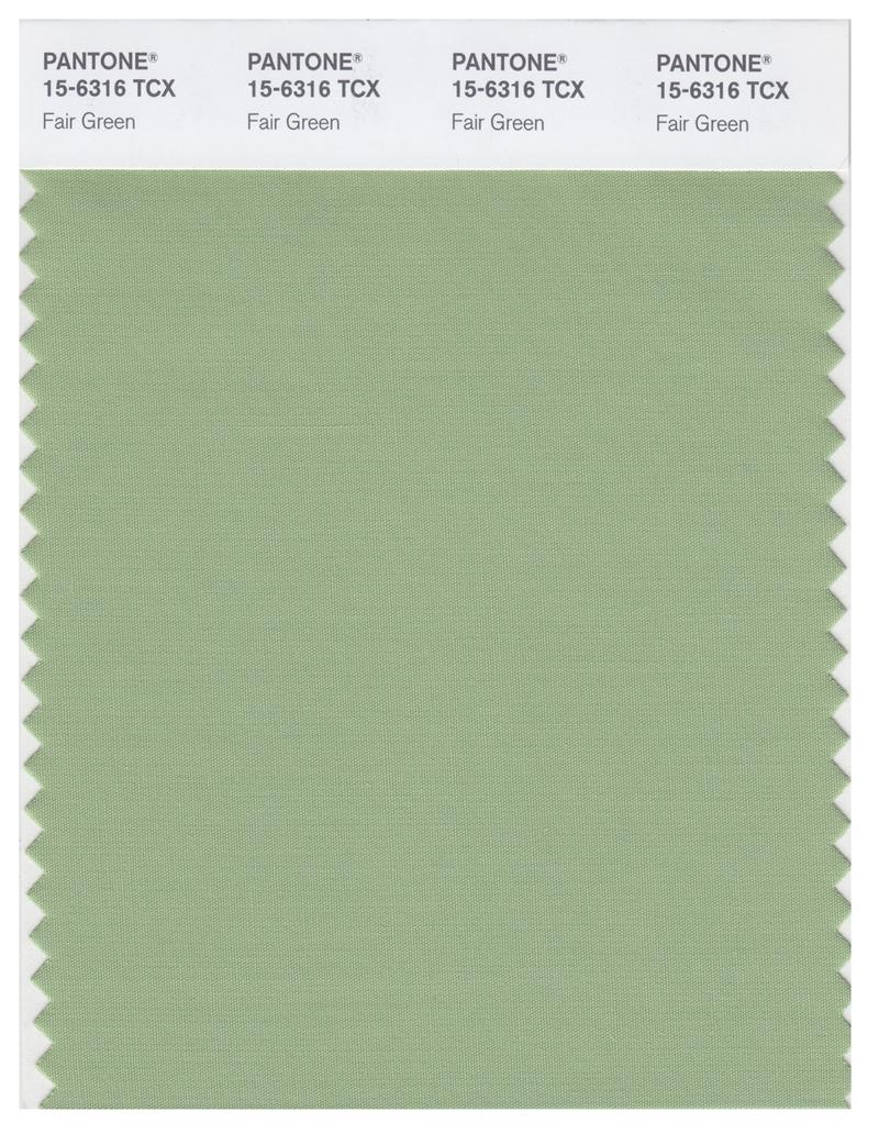 Pantone Smart 15-6316 TCX Color Swatch Card | Fair Green 