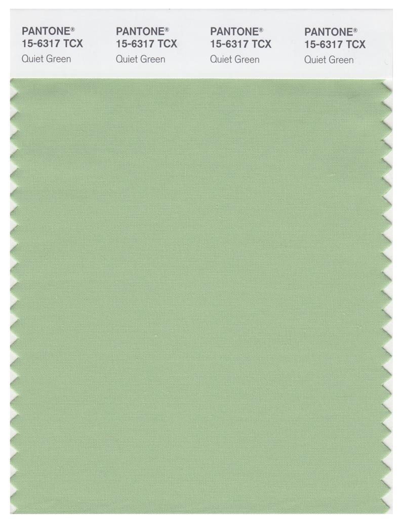 Pantone Smart 15-6317 TCX Color Swatch Card | Quiet Green 