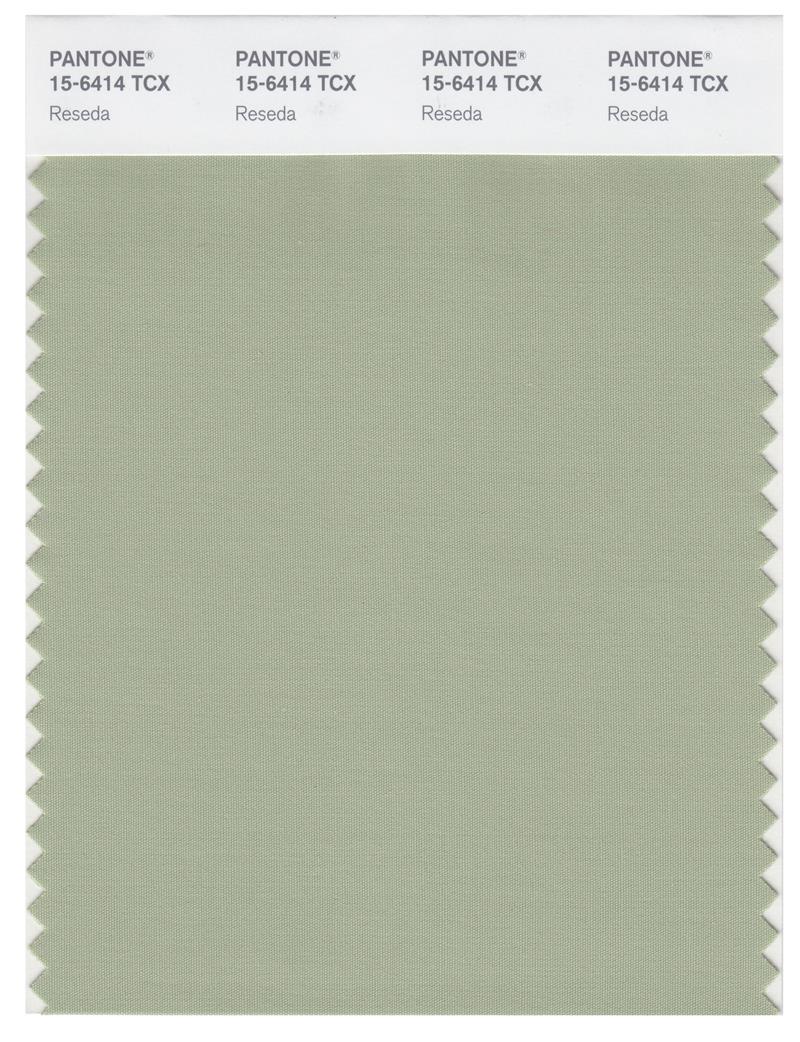 Pantone Smart 15-6414 TCX Color Swatch Card | Reseda 