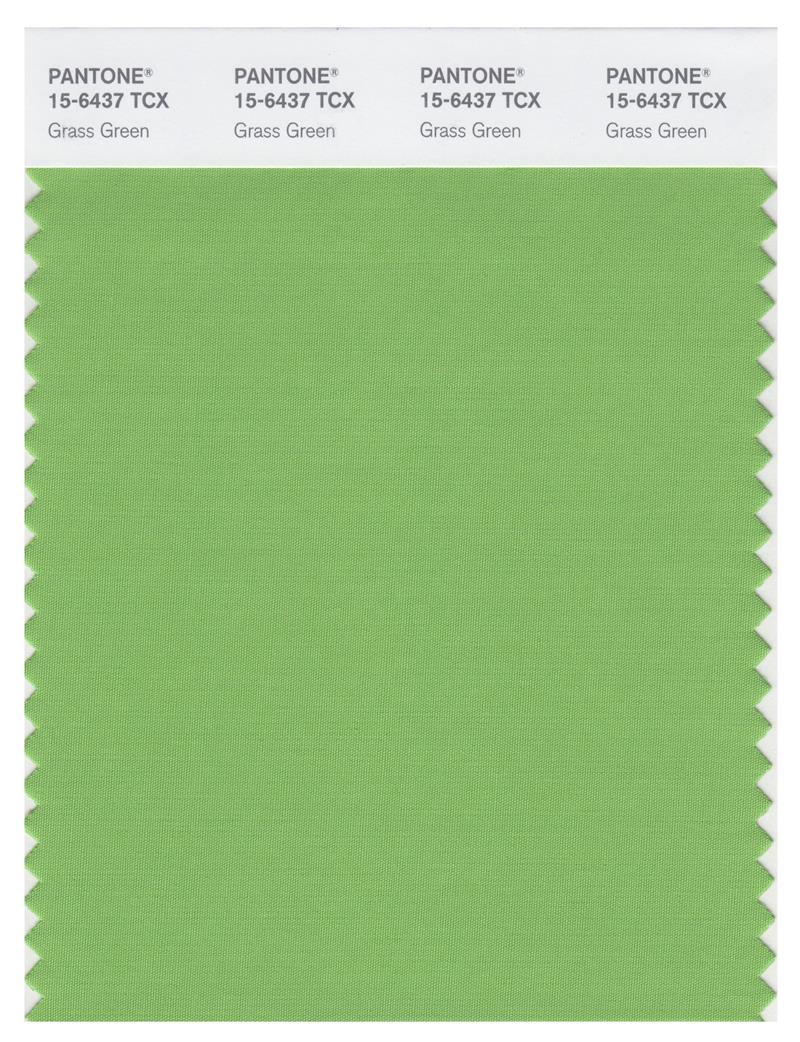 Pantone Smart 15-6437 TCX Color Swatch Card | Grass Green 