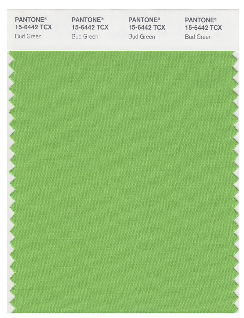 Pantone Smart 15-6442 TCX Color Swatch Card | Bud Green 