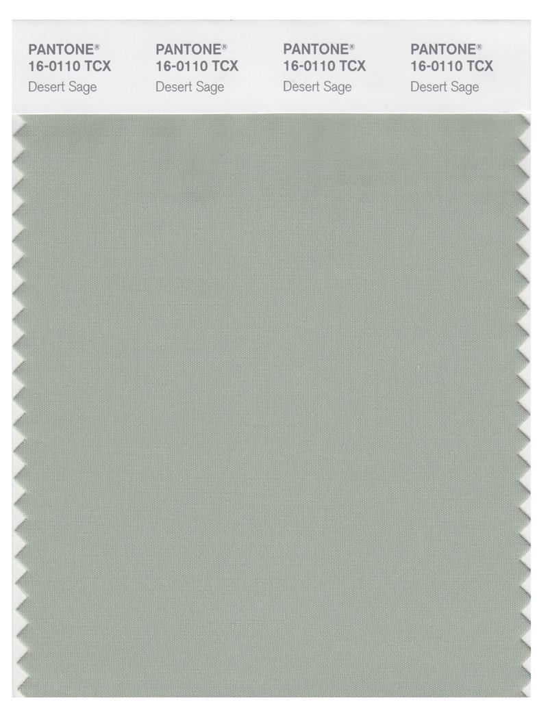 Pantone Smart 16-0110 TCX Color Swatch Card | Desert Sage 