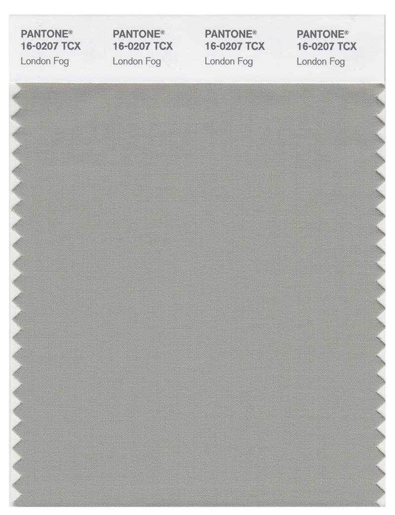 Pantone Smart 16-0207 TCX Color Swatch Card | London Fog 