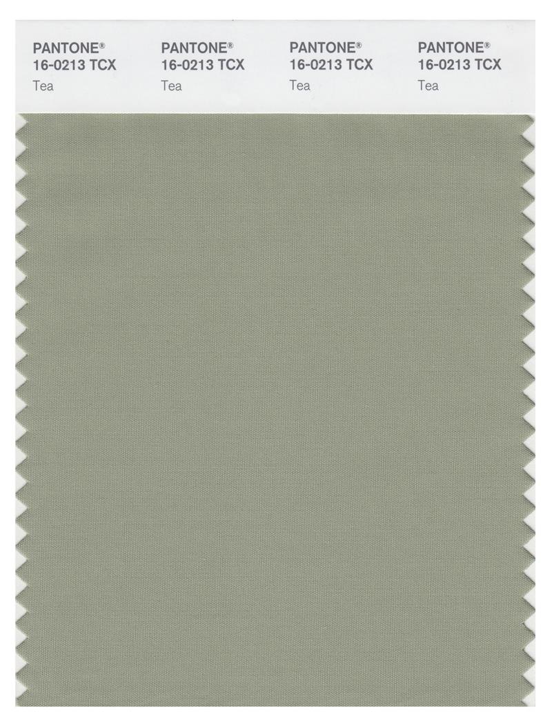 Pantone Smart 16-0213 TCX Color Swatch Card | Tea 