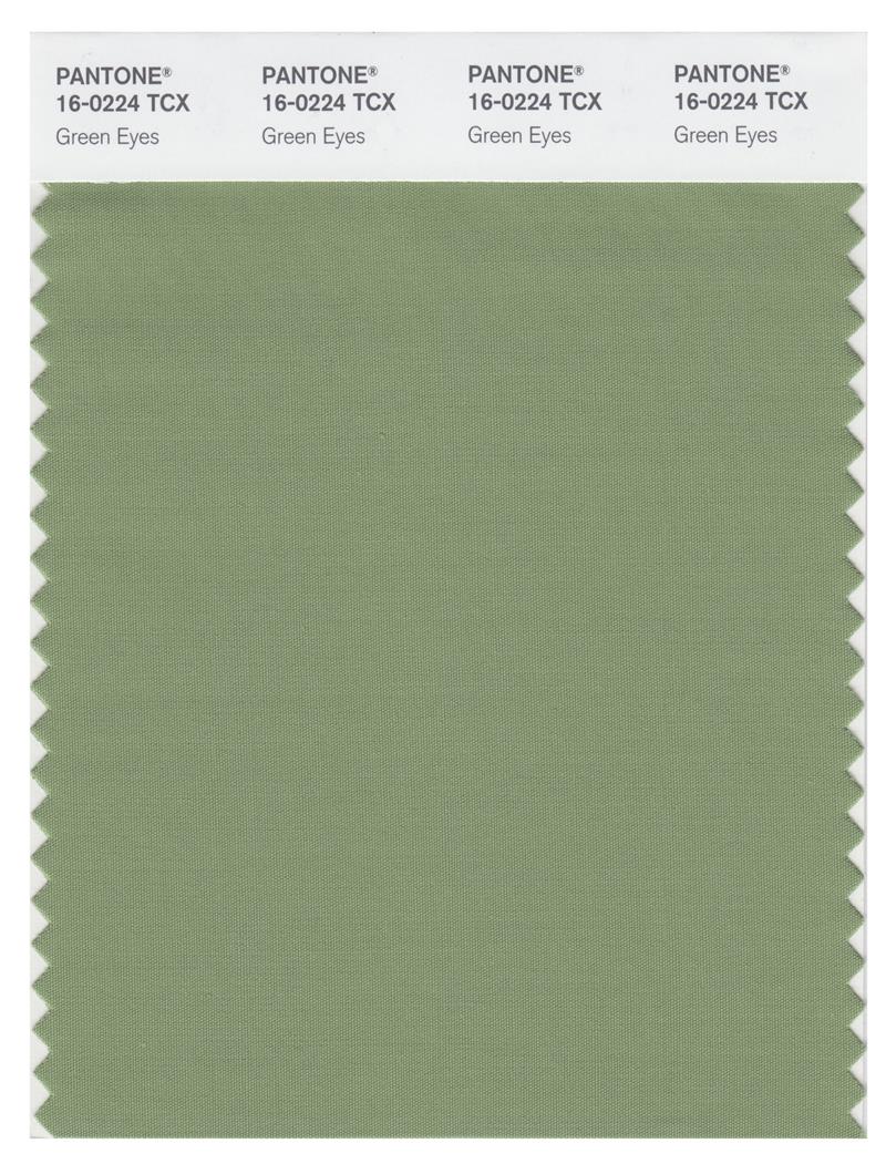 Pantone Smart 16-0224 TCX Color Swatch Card | Green Eyes 