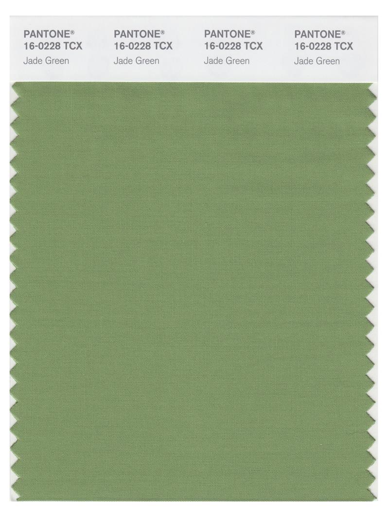 Pantone Smart 16-0228 TCX Color Swatch Card | Jade Green 