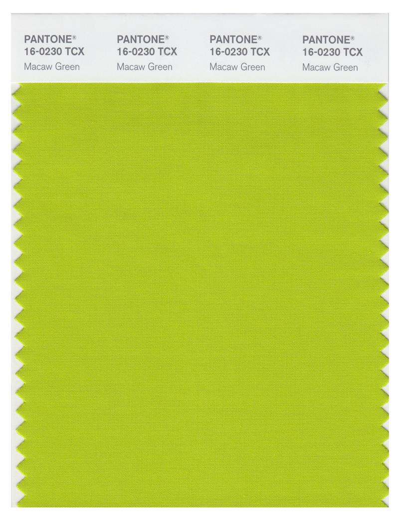 Pantone Smart 16-0230 TCX Color Swatch Card | Macaw Green 